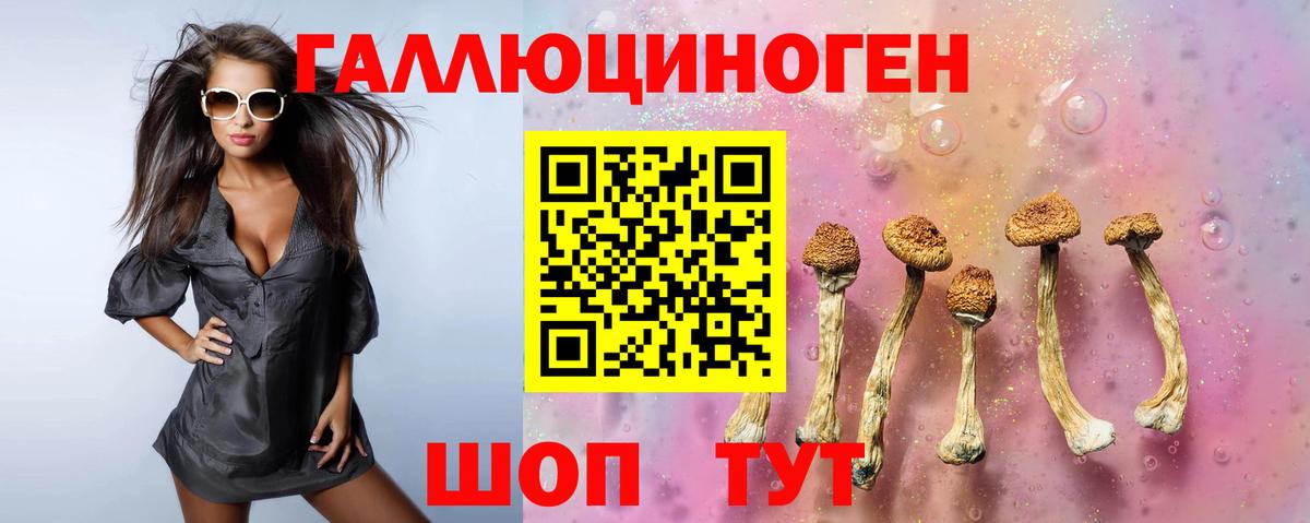 Галлюциногенные грибы MAGIC MUSHROOMS  Псилоцибиновые грибы Cubensis  Вход с VPN  Анапа 